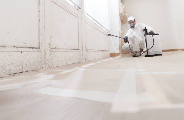 24/7 Emergency Basement Mold Remediation experts in Silverdale, PA